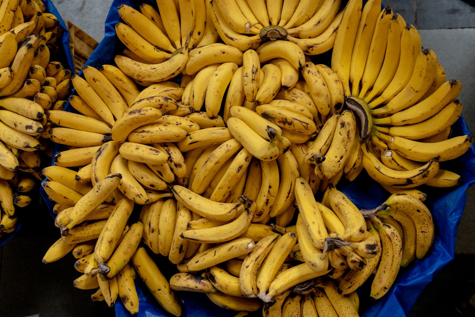Harvested Cavendish banana bunches ready for packing